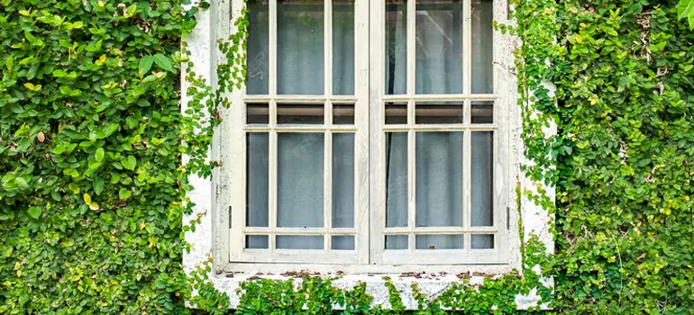 Garden Window Repair Near Me in Delray Beach, FL